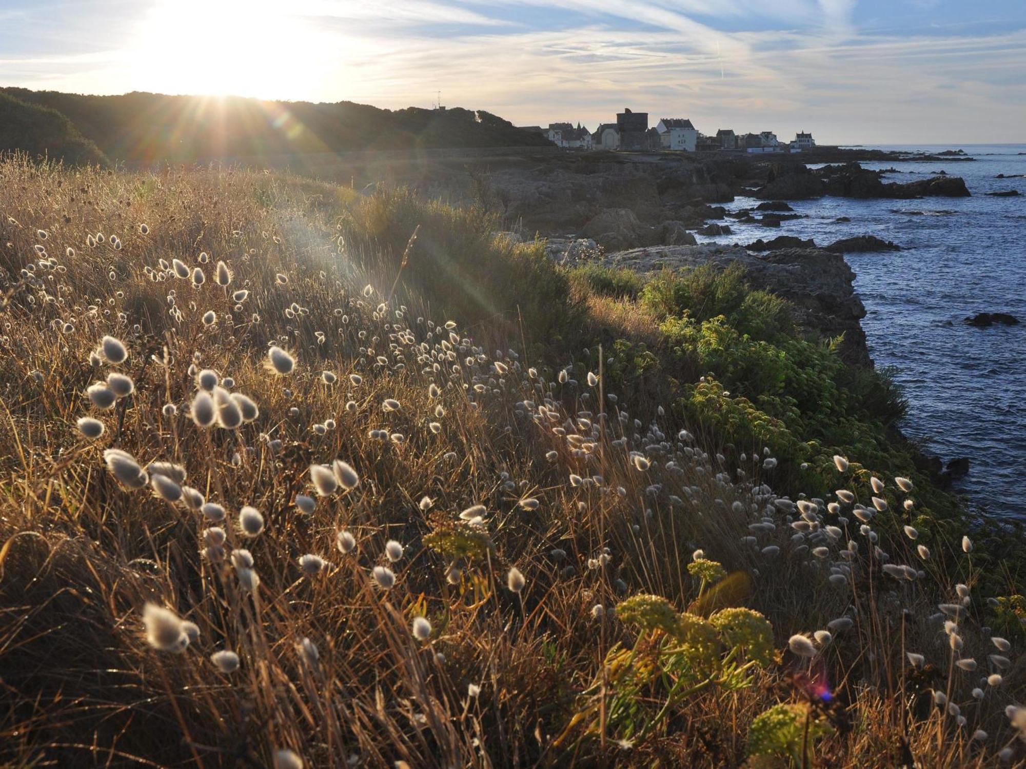 Appartements En Bord De Mer Avec Wifi Et Animal Accepte A Piriac-Sur-Mer - Fr-1-306-943 Buitenkant foto